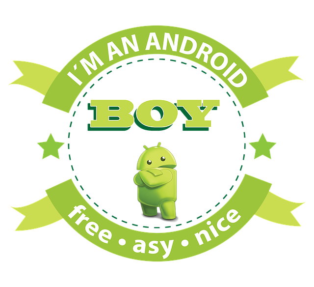 Android 11 Özellikleri